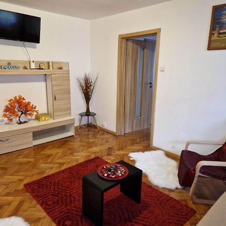 Petuniei Apartment Brașov Exterior foto