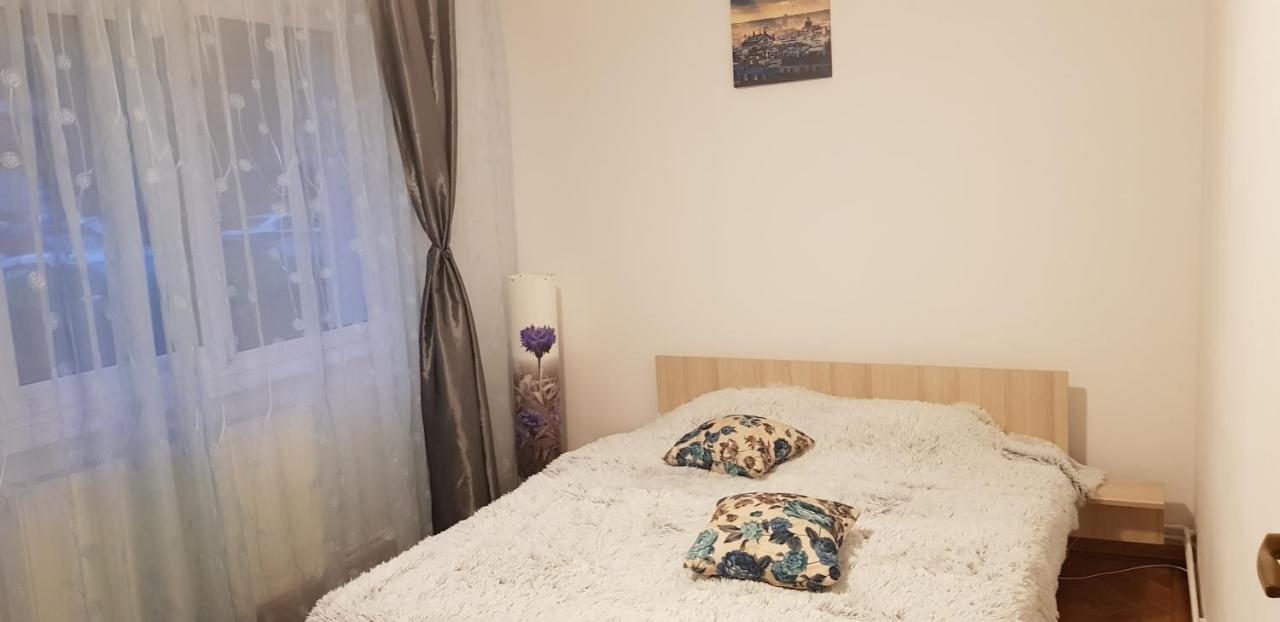 Petuniei Apartment Brașov Exterior foto