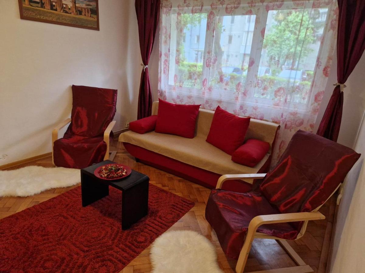 Petuniei Apartment Brașov Exterior foto