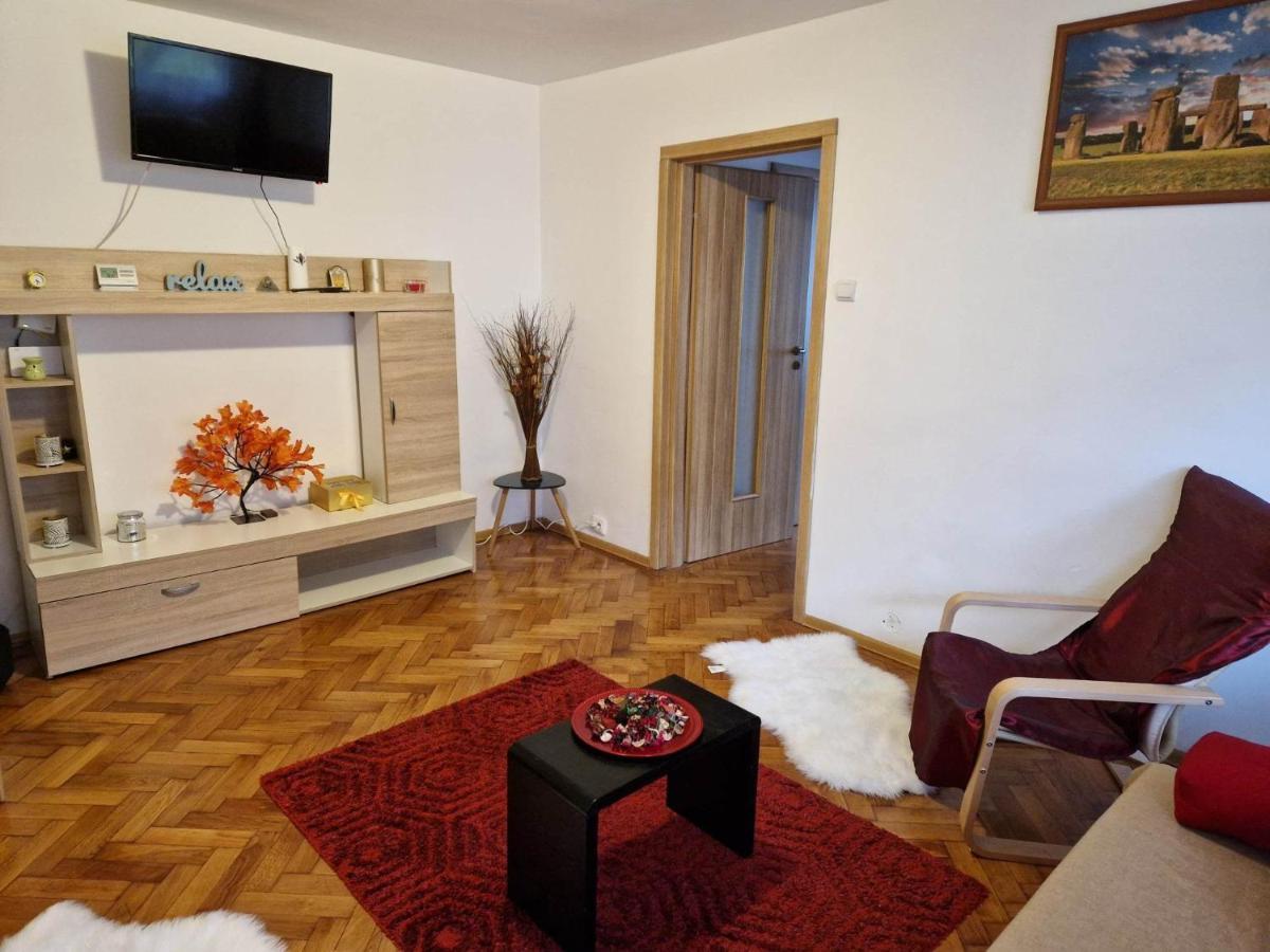 Petuniei Apartment Brașov Exterior foto