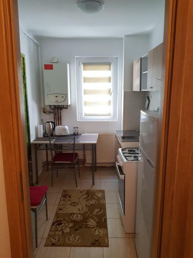 Petuniei Apartment Brașov Exterior foto