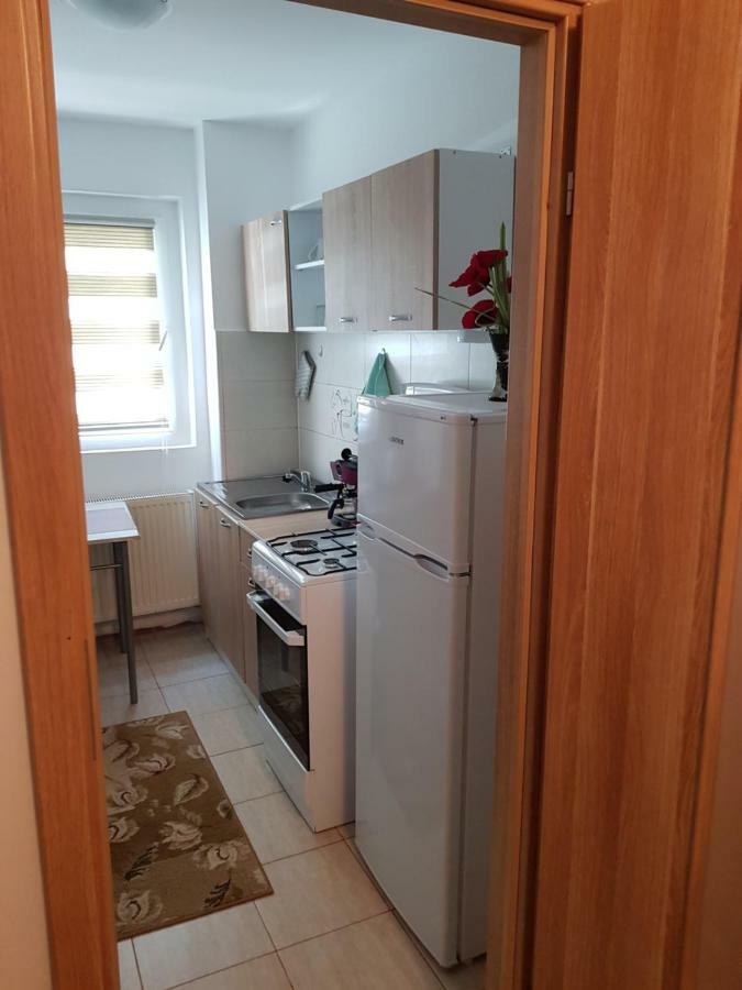Petuniei Apartment Brașov Exterior foto