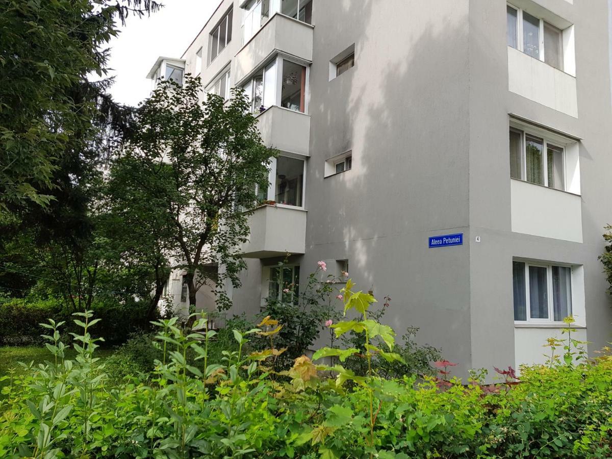 Petuniei Apartment Brașov Exterior foto